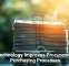 Why Fast Internet Keeps Small Businesses Competitive